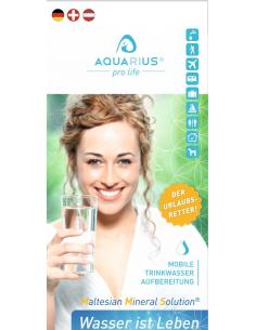 CDS-Flyer, deutsch (german)