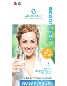 CDS-Flyer US-EN englisch